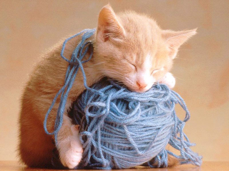 chats_12